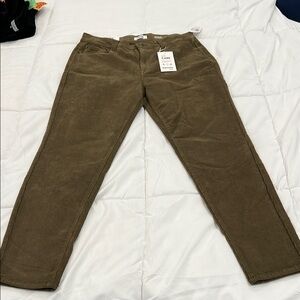 Kensie The Kelsey High Rise Skinny Olive Green Corduroy Pants